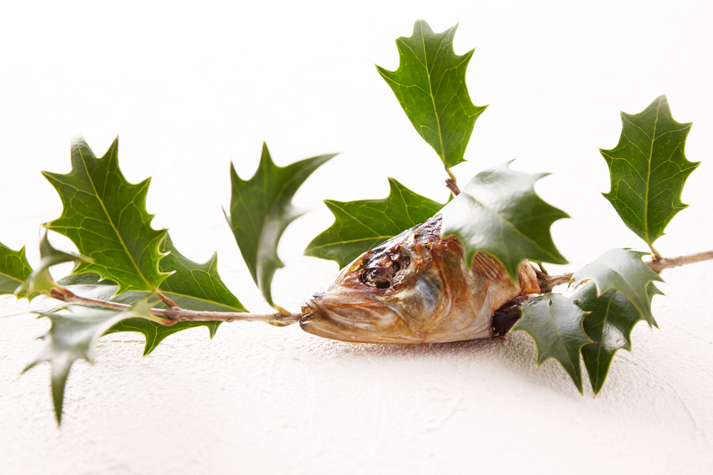 節分には 柊鰯 ヒイラギイワシ 平塚 秦野 小田原 厚木の注文住宅はマッケンジーハウス建設事業部